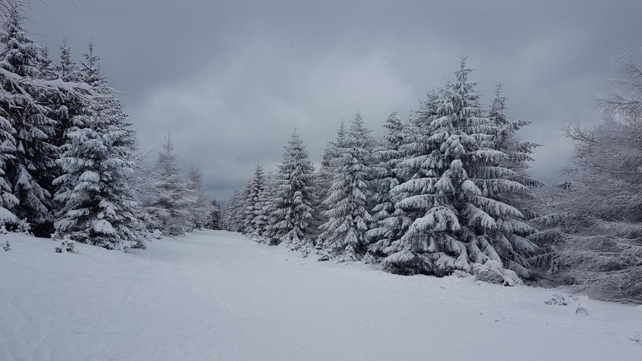 Lądek-Zdrój Dom Trzech Braciヴィラ エクステリア 写真