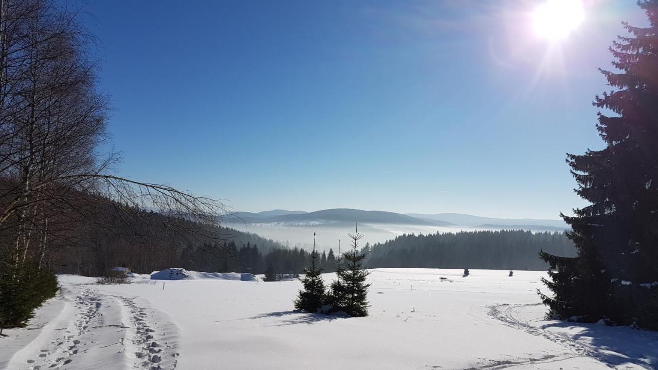 Lądek-Zdrój Dom Trzech Braciヴィラ エクステリア 写真