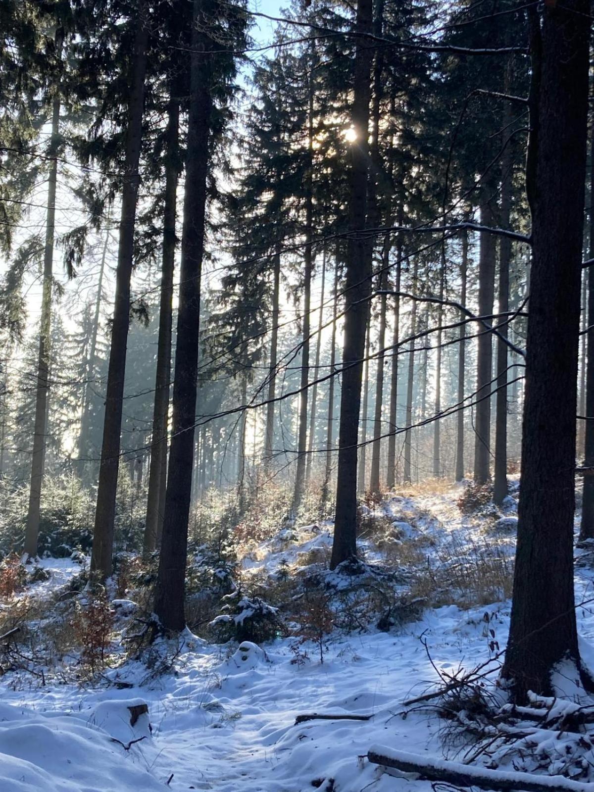 Lądek-Zdrój Dom Trzech Braciヴィラ エクステリア 写真