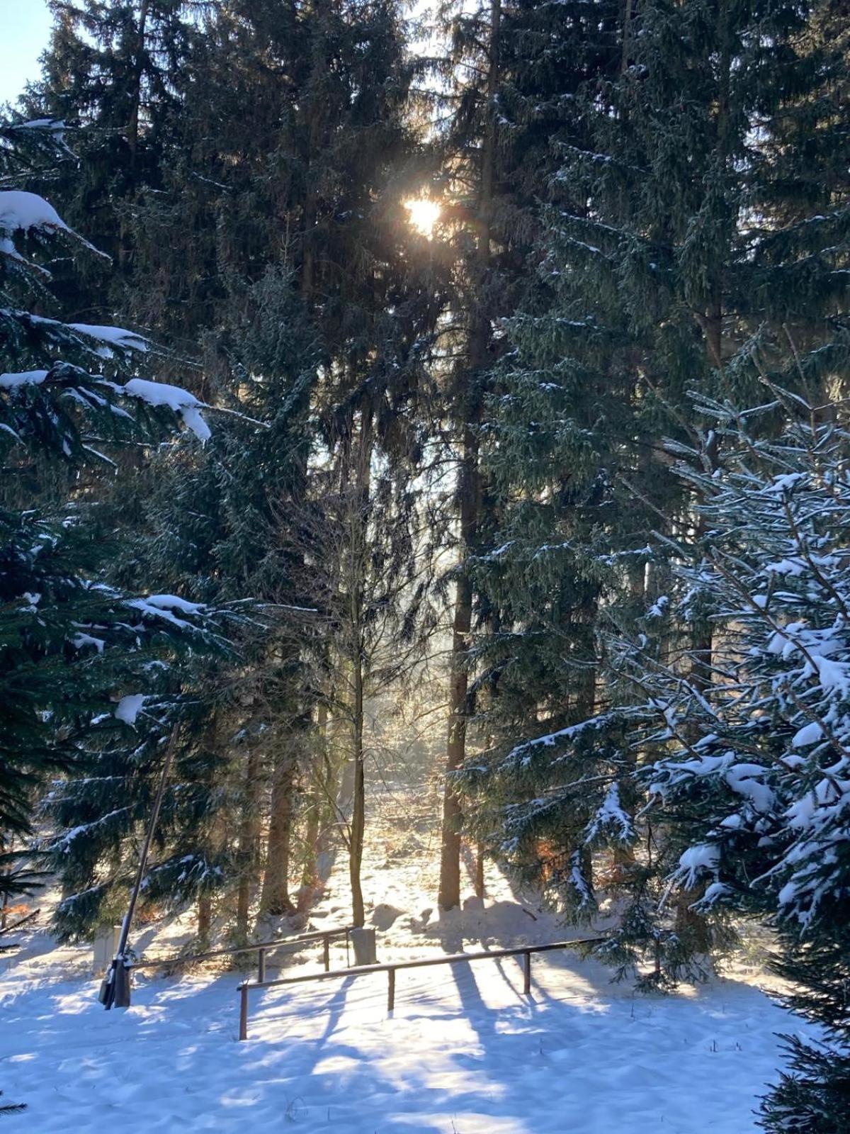 Lądek-Zdrój Dom Trzech Braciヴィラ エクステリア 写真