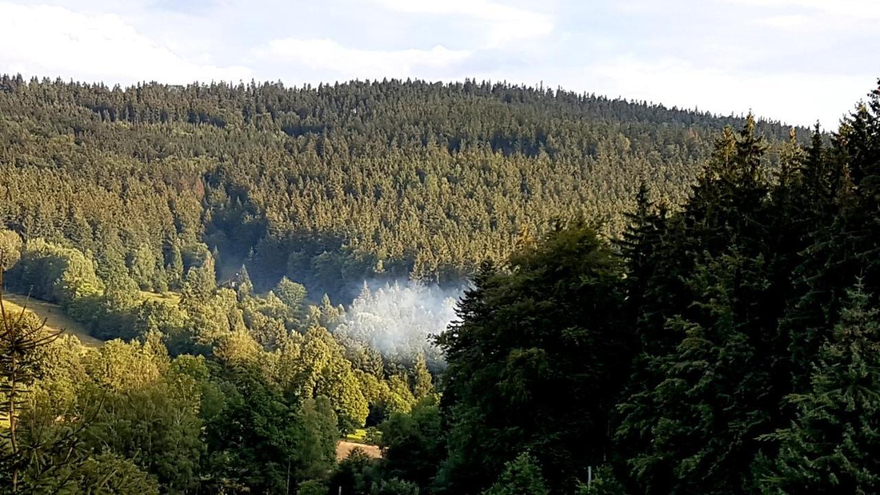Lądek-Zdrój Dom Trzech Braciヴィラ エクステリア 写真